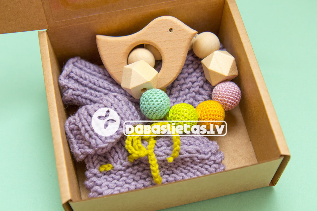 gatava-davana-raudzibas-mazulim-pirmais-purins